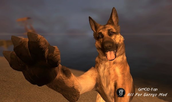 Fallout 4 Dogmeat [RAG]