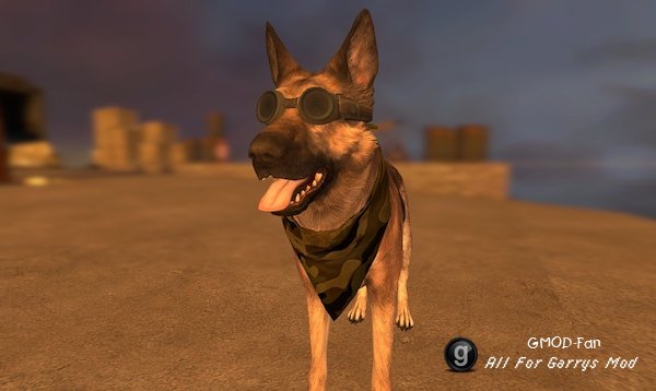 Fallout 4 Dogmeat [RAG]