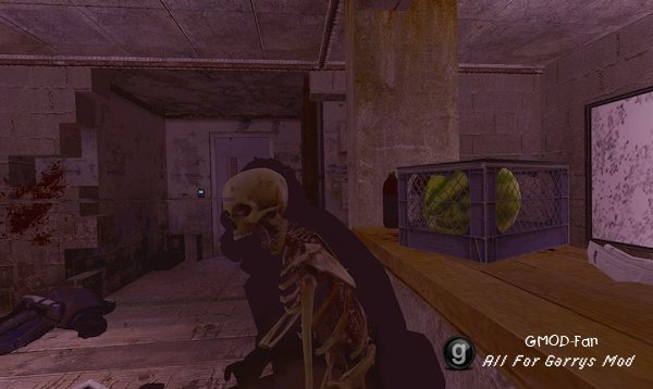 X-Ray Killcam