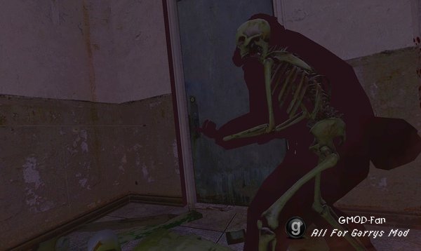 X-Ray Killcam