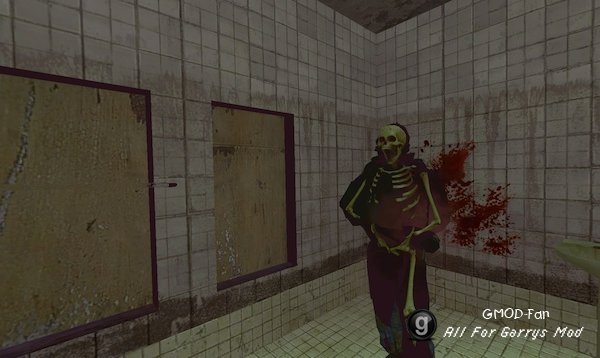 X-Ray Killcam