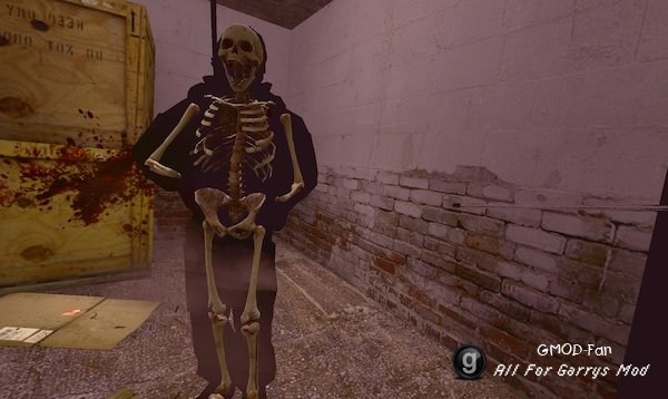 X-Ray Killcam