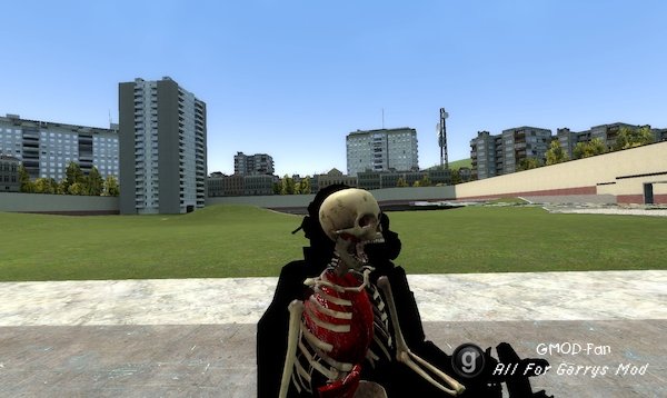 X-Ray Killcam