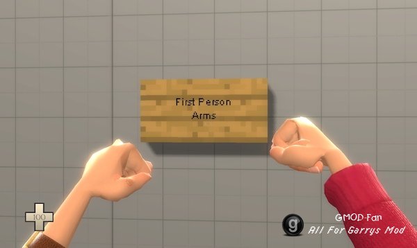 Hello Neighbor - The Player [PM/NPC/Ragdoll]