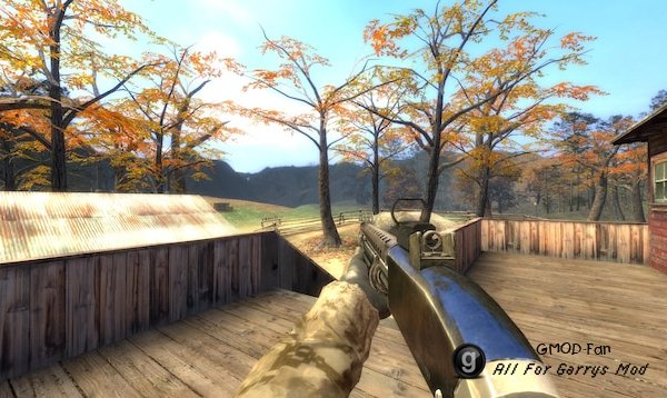 Call of Duty 4: Modern Warfare Shotguns