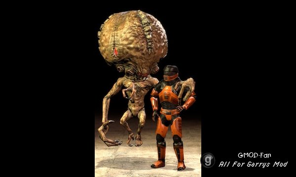 BMS: P.M. and Ragdoll Complete Pack