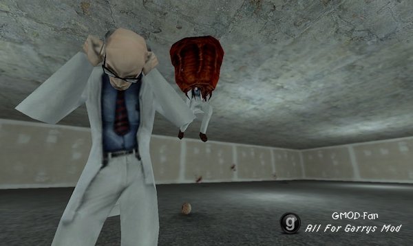 Half-Life: Source: Entities Expanded (NPCs, Weapons, Entities and More!)