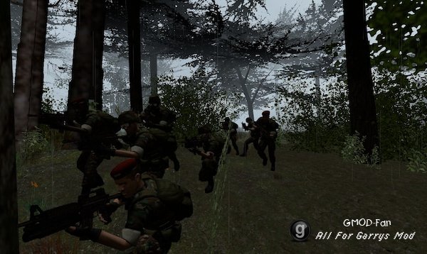 Woodland HECU Grunts (NPCs)