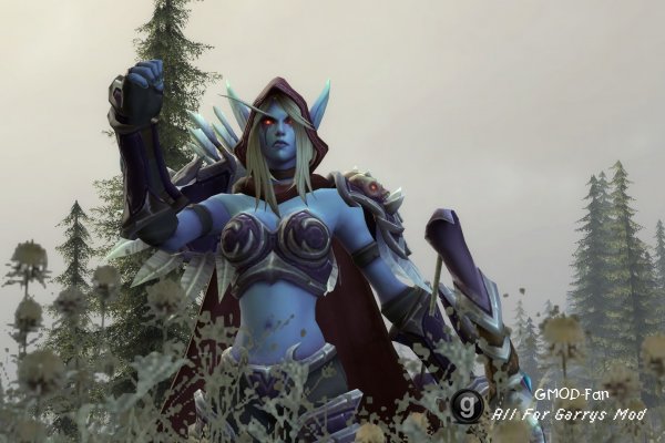 HOTS | Sylvanas Windrunner + Warchief Skin| NPCs + Playermodels